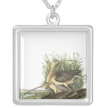 Lang-berechneter großer Brachvogel, John Audubon Amuletten