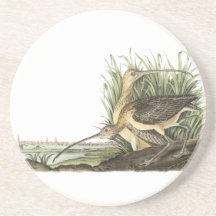 Lang-berechneter großer Brachvogel, John Audubon Getränke Untersetzer