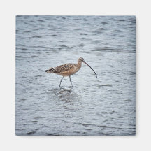 Lang-berechneter großer Brachvogel Kühlschrankmagnet