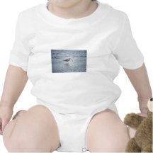 Lang-berechneter großer Brachvogel T-shirts