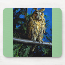 Lang-ohrige Eule Mousepads