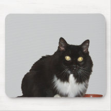 Langhaarige Haustier-Katze Mousepads