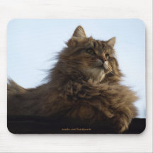 Langhaarige Tabby-Katze Mousepad