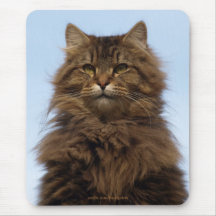 Langhaarige Tabby-Katze Mousepad