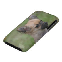 Langhaariger Chihuahua-Welpe, der Kamera betrachte iPhone 3 Cover