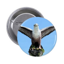 Langkawi Eagle, Malaysia Button