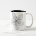 LAO-BLUME DOK CHAMPA - PLUMERIA KAFFEEHAFERL