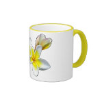 LAO-BLUME DOK CHAMPA - PLUMERIA RUBRA KAFFEE TASSE