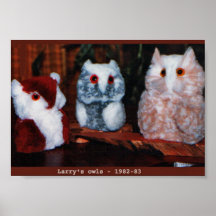 Larrys Handcrafted Eulen-Plakat