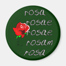 Latein Rose Deklination lateinische Rosendeklinati Magnete
