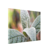 Laub - Schmetterling Bush Galerie Falt Leinwand
