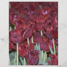 Laufen Sie durch die Tulpen Flyer