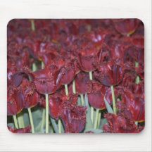 Laufen Sie durch die Tulpen Mousepad