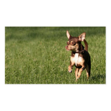 Laufende Chihuahuageschäfts- oder -profilkarte Visitenkartenvorlage