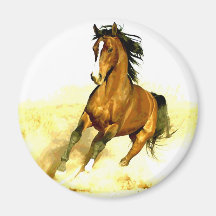 Laufendes Pferd Kühlschrankmagnete