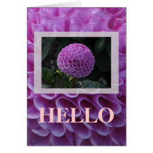 Lavander Dahlie Karten