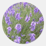 Lavendel-Aufkleber