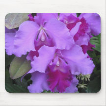 Lavendel Catleya Orchideen-Mausunterlage Mousepads