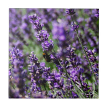 Lavendel fängt Fliese auf