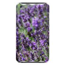 Lavendel fängt iTouch Fall auf iPod Touch Hülle
