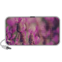 Lavendel-Garten-Foto mit Damast-Strudeln Mp3 Lautsprecher