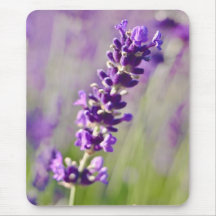Lavendel | Lavendel Mauspad