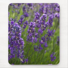 Lavendel | Lavendel Mauspads