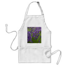 Lavendel | Lavendel Schürze