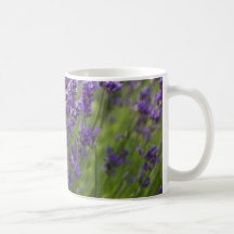 Lavendel | Lavendel Tassen