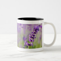 Lavendel | Lavendel Teetasse