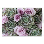 Lavendel Rosen- und echeveriaskarte