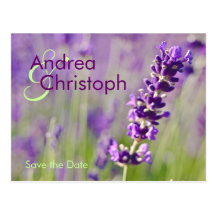 Lavendel • Save-the-Date-Postkarte