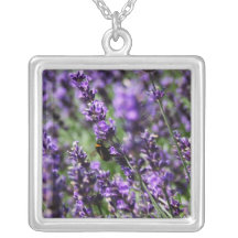Lavendel stellt Halskette auf