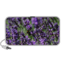 Lavendel stellt Lautsprecher auf