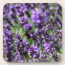 Lavendel stellt Set Untersetzer auf