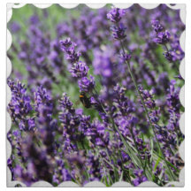 Lavendel stellt Set von vier Servietten auf