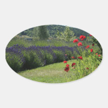Lavendel u. Mohnblumen Ovaler Aufkleber