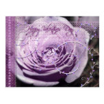 Lavendelvalentine-Rose Postkarte