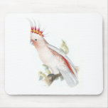 Leadbeaters Cockatoo durch Edward Lear Mousepad