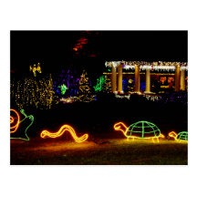 Lebewesen-Lichter - Ufer-Morgen-Staats-Park Oregon Postkarten