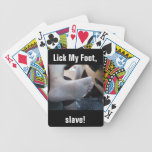 LECKEN SIE MEINEN FUSS, SKLAVEN