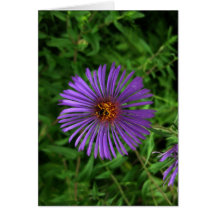 Leer-Blaue Blume Grußkarte