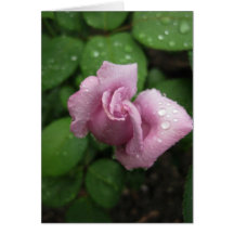 Leer-Knospe rosa Dewdrop Karte