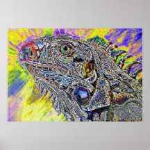 Leguan 1 plakate