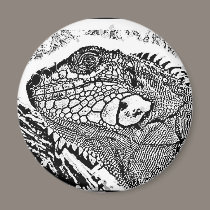 Leguan black/white magnete