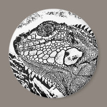 Leguan black/white magnete