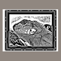 Leguan black/white postkarten