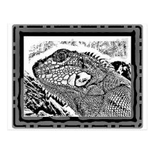 Leguan black/white postkarte