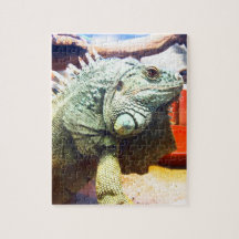 Leguan Foto Puzzle
