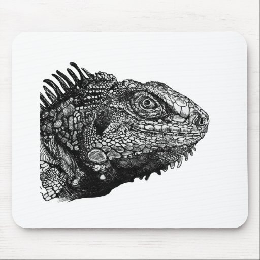 Leguan-Melone Mousepad